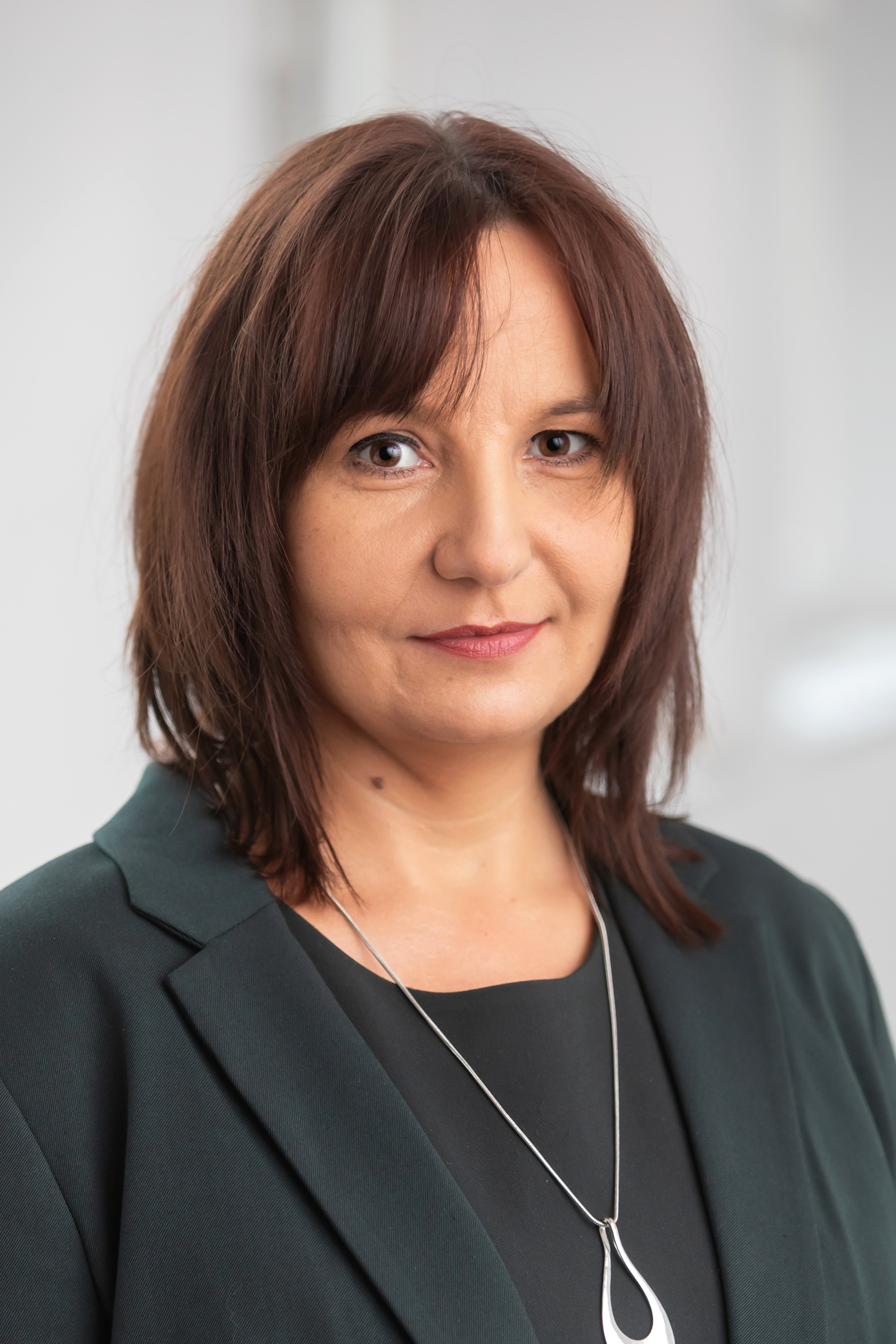 dr hab. inż. Agnieszka MISZTAL, prof PP