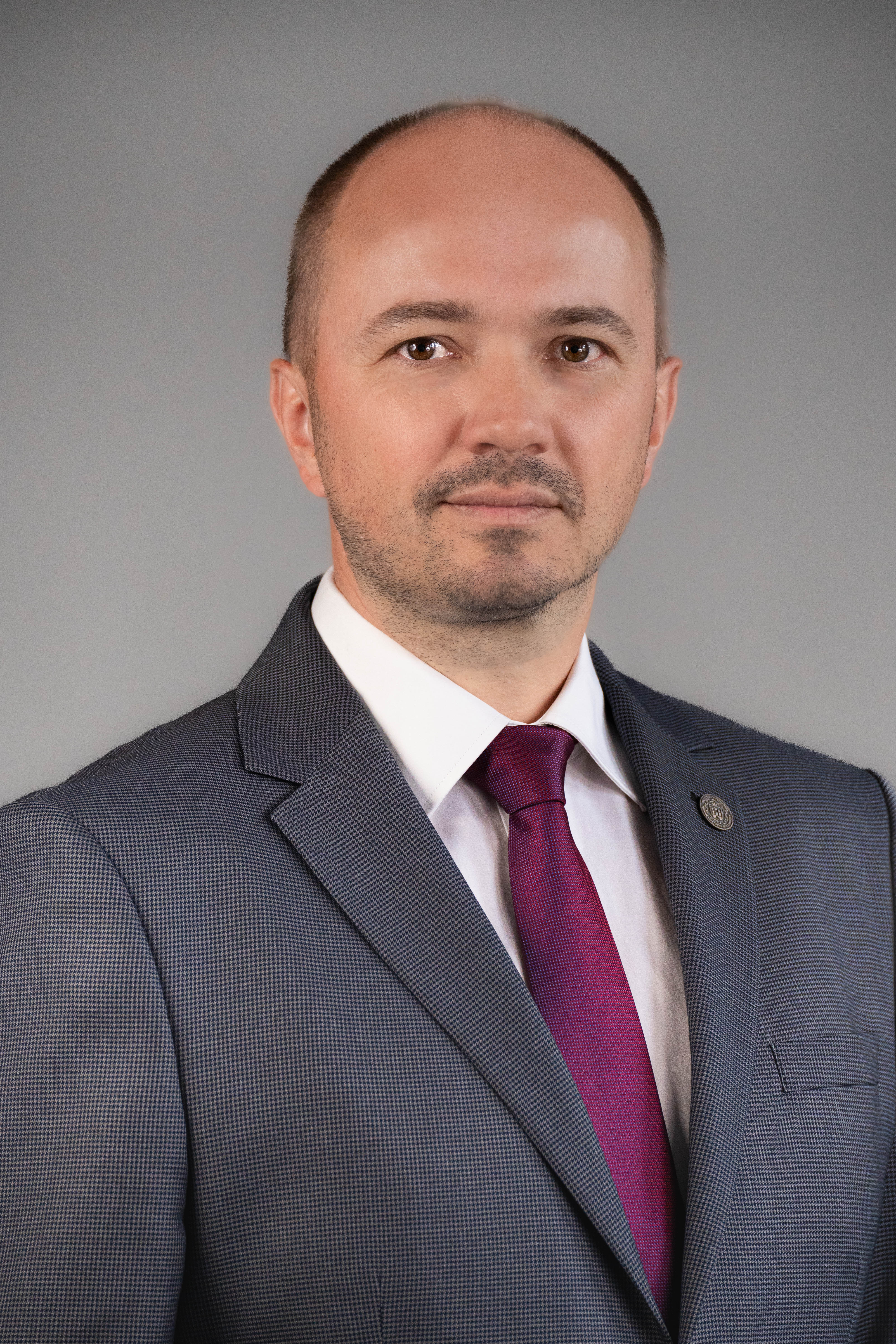 prof. dr hab. inż. Wojciech Sumelka