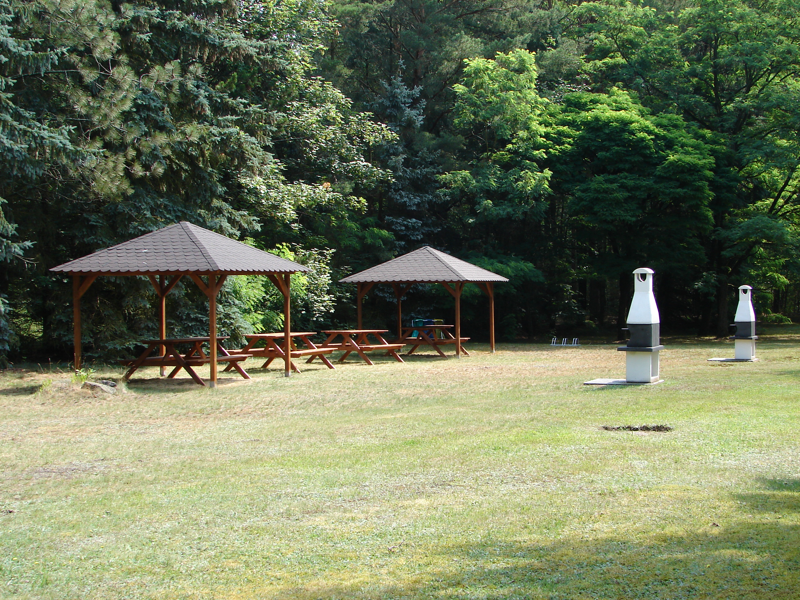 foto5